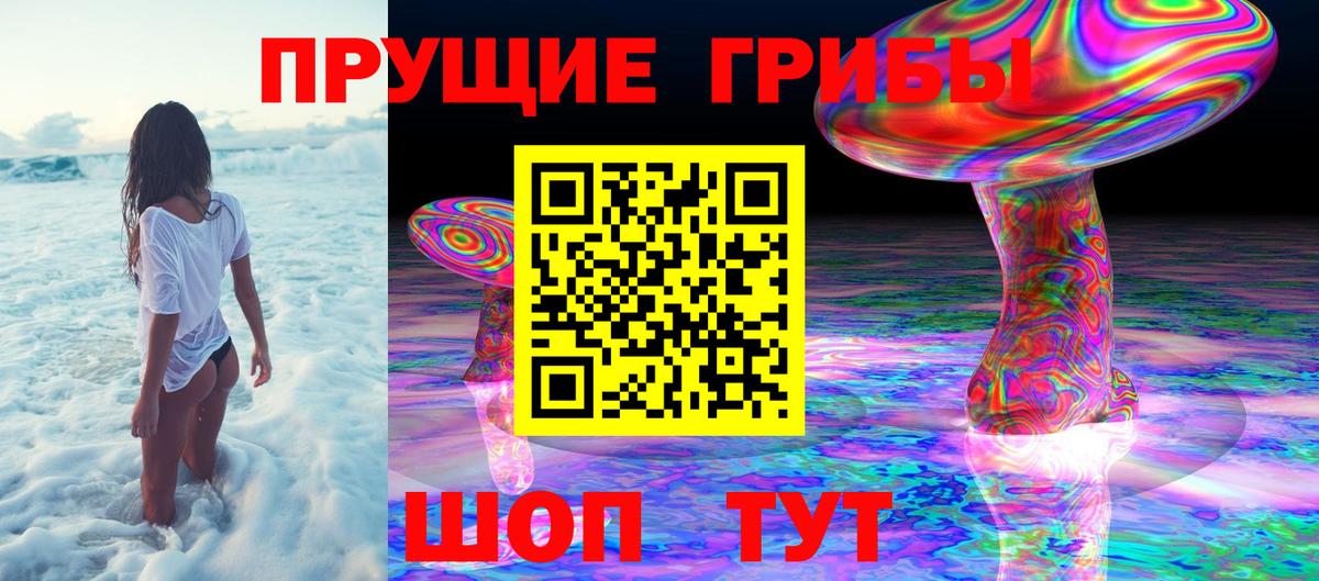 Псилоцибиновые грибы Psilocybe Арзамас