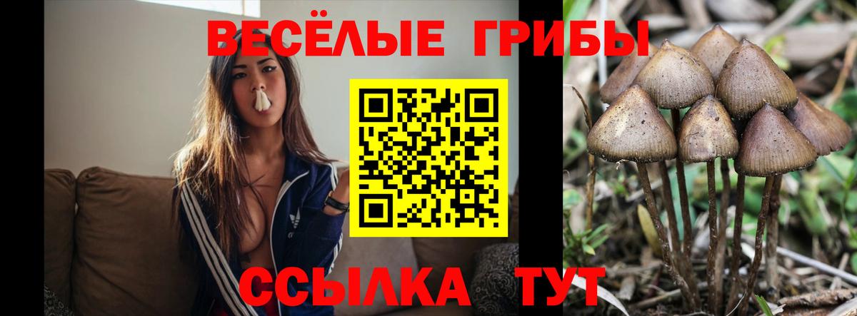 Арзамас  Псилоцибиновые грибы прущие грибы  Вход с VPN 